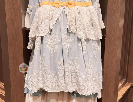 SHDL - Cinderella Dress for Adults For Cheap