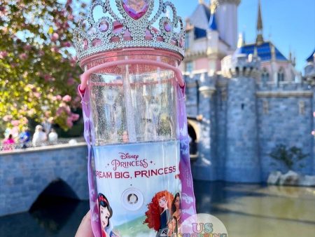 DLR - Princess Bubble Sipper Online