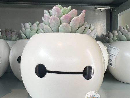 DLR - Disney Home Big Hero 6 -  Baymax Plant Decor Fashion