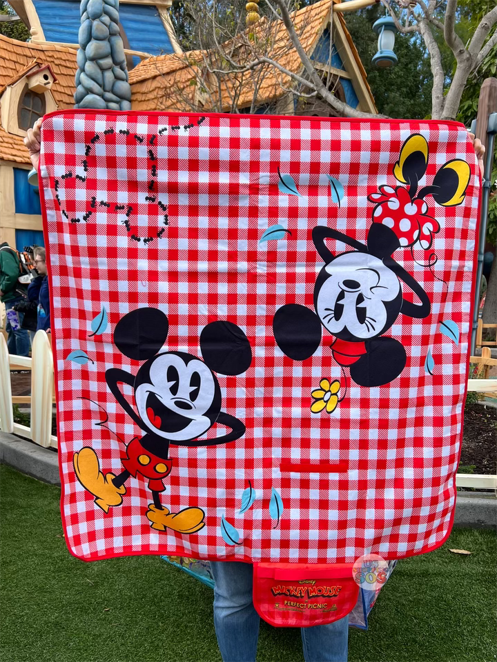 DLR - Mickey’s Toontown - Perfect Picnic Blanket on Sale