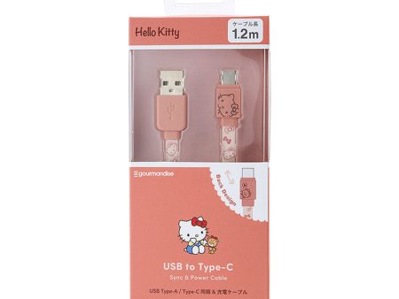 Japan Sanrio - Hello Kitty USB Type-A Type-C compatible Sync & Charging Cable For Cheap