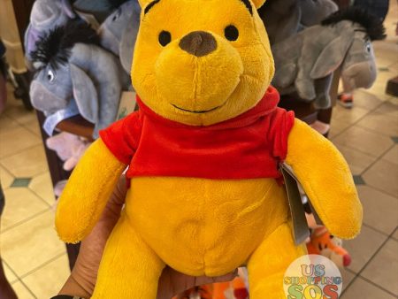 DLR WDW - Winnie the Pooh & Friends Plush Toy - Winnie the Pooh For Sale